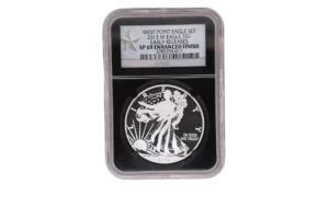 2013 W Silver Eagle 1 Silver SP69 Enhanced Finish