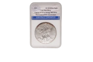 2001 Silver Eagle 1 Silver