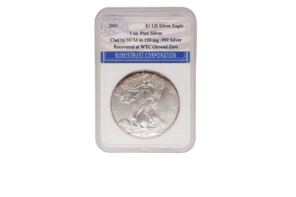 2001 Silver Eagle 1 Silver