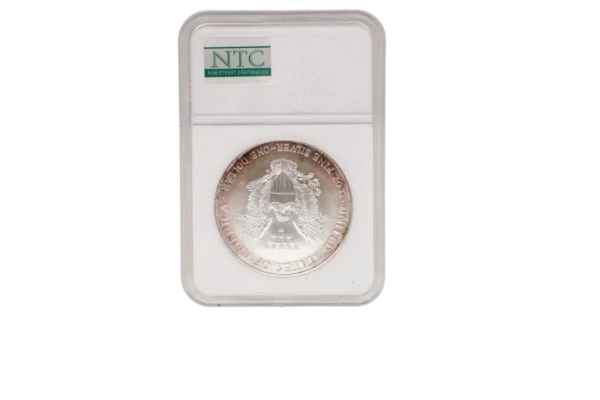 2001 Silver Eagle 1 Silver - Image 2