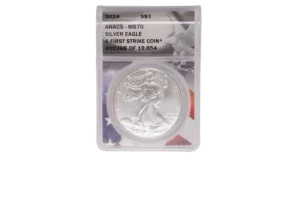 2024 Silver Eagle 1 Silver MS70