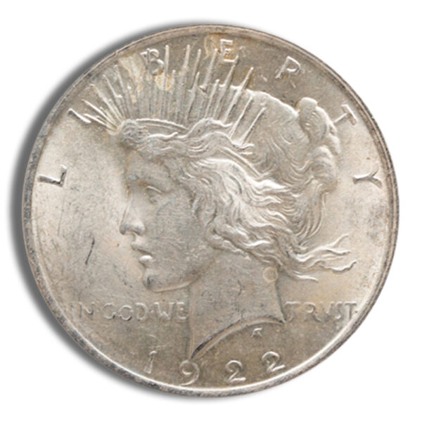 Morgan & Peace Silver Dollar: Sort & Pay - Image 3