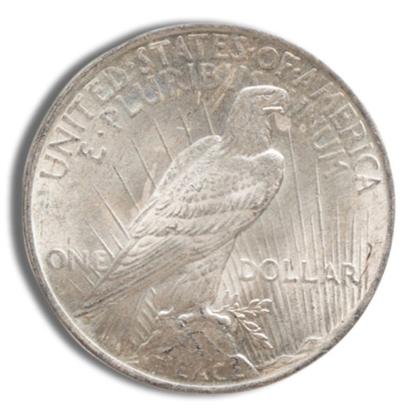 Morgan & Peace Silver Dollar: Sort & Pay - Image 4