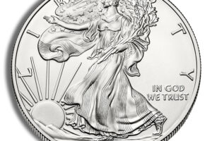 2013 Silver American Eagle - BU