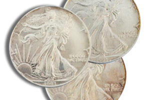 Silver American Eagle - Impaired