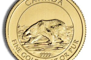 2013 1/4 oz Canadian Polar Bear Gold Coin