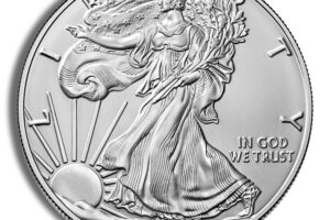 2019 Silver American Eagle - BU