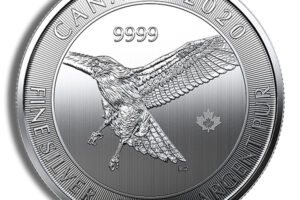 1/2 oz Canadian Red Tail Hawk Silver Coin (Year Varies)