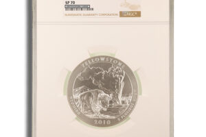 2010-P 5 oz ATB Yellowstone Silver Coin NGC SP70