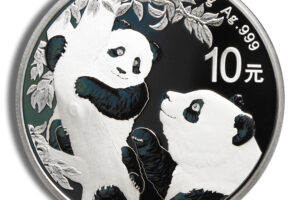 2021 Chinese Silver Panda - 30 g