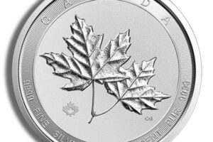 2 oz Canadian Twin Maple Leaf Silver Coin (Year Varies)