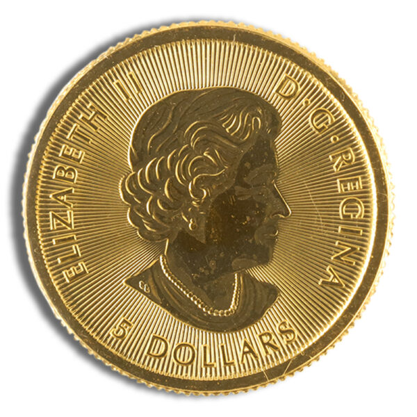 1/10 oz Canadian Polar Bear Gold Coin (Year Varies) - Image 2