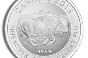 1.25 oz Canadian Bison Silver Coin (Year Varies)