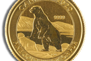 1/10 oz Canadian Polar Bear Gold Coin (Year Varies)