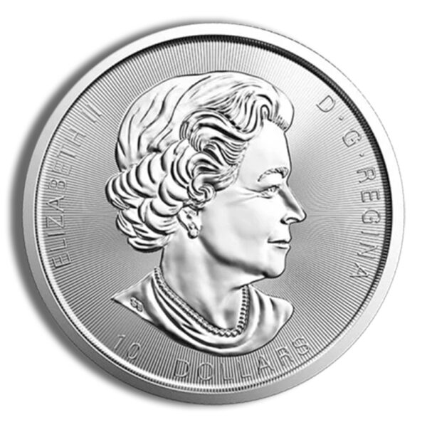 2 oz Canadian Twin Maple Leaf Silver Coin (Year Varies) - Image 2