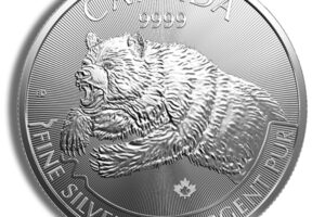 2019 1 oz Canadian Predator Series Grizzly Bear Silver Coin