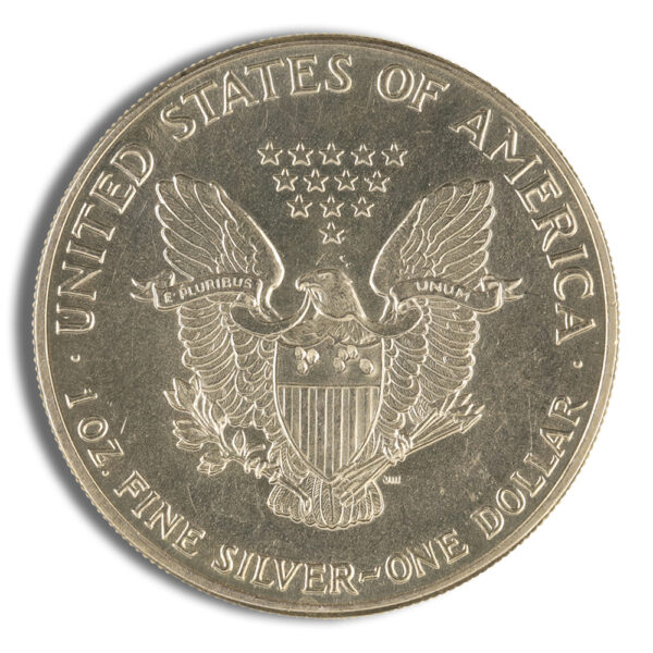 1986 Silver Eagle - Impaired - Image 2