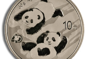 2022 Chinese Silver Panda - 30 g