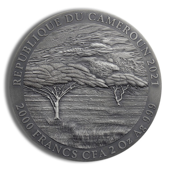 2021 2 oz Cameroon Silver Mountain Gorilla - Image 2