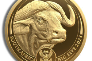2023 1/4 oz Gold South African Big 5 Buffalo Coin -  Proof