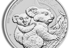 2023 Silver Australian Koala - Kilo - BU