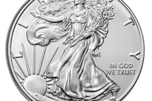 2020 Silver American Eagle - BU