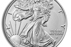 2022 Silver American Eagle - BU
