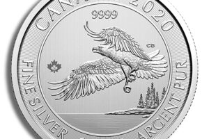 2020 1.5 oz Canadian North American Bald Eagle Silver Coin