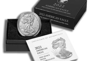 2022-W Burnished Silver Eagle with Box & COA