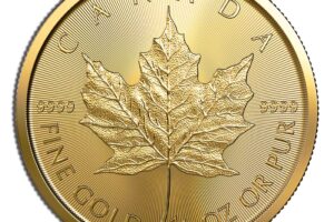 1/2 oz Gold Maple Leaf (Year Varies - Sealed)