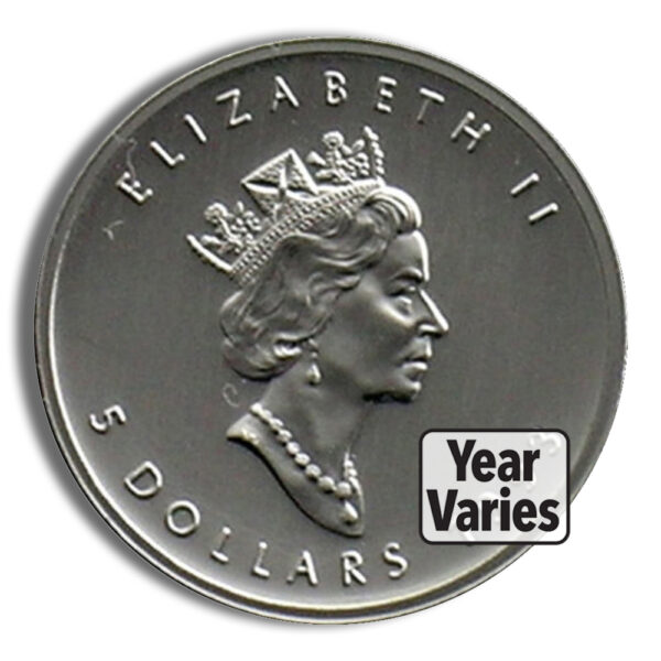 Platinum Maple Leaf - 1/10 oz (Year Varies) - Image 2