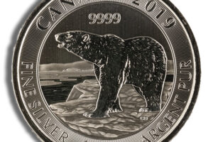 2019 1/2 oz Canadian Polar Bear Silver Coin