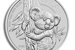 2024 Silver Australian Koala - Kilo - BU
