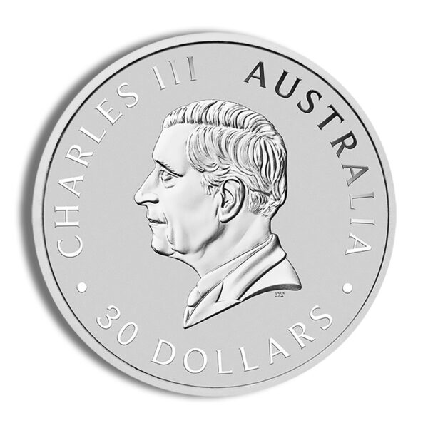 2024 Silver Australian Koala - Kilo - BU - Image 2