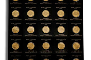 25 x 1 g Canadian MapleGram Gold Coins (Carded)