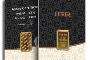 2.5 gram Gold Bar - IGR Metals (Carded)