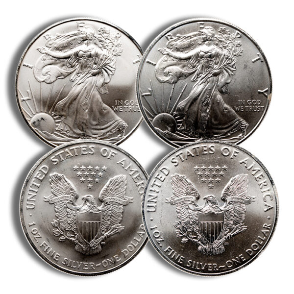 Silver American Eagle - Imperfect
