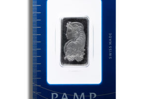 20 gram Platinum Bar - Brand Varies (Carded)