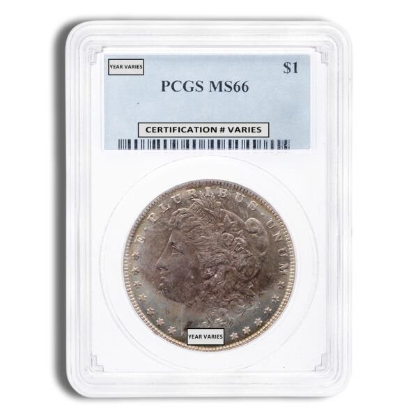 Pre-1921 Morgan Dollar - PCGS MS66 (Toned)