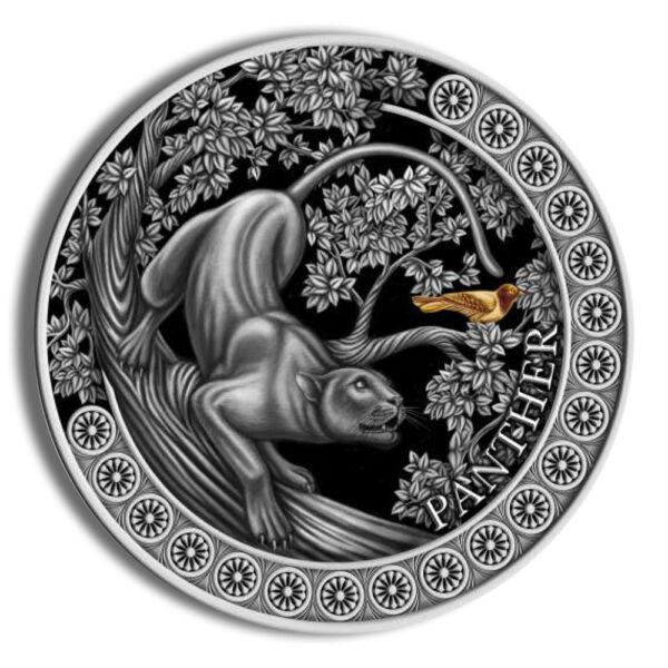 2022 50 gram Republic of Ghana Panther Hunting in the Wild Silver Coin - Image 2