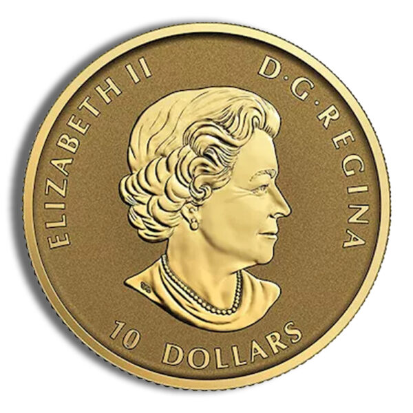 2019 1/4 oz Canadian Wild Horse Gold Coin - Image 2