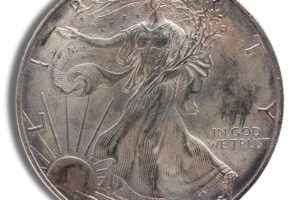 1996 Silver American Eagle - Impaired
