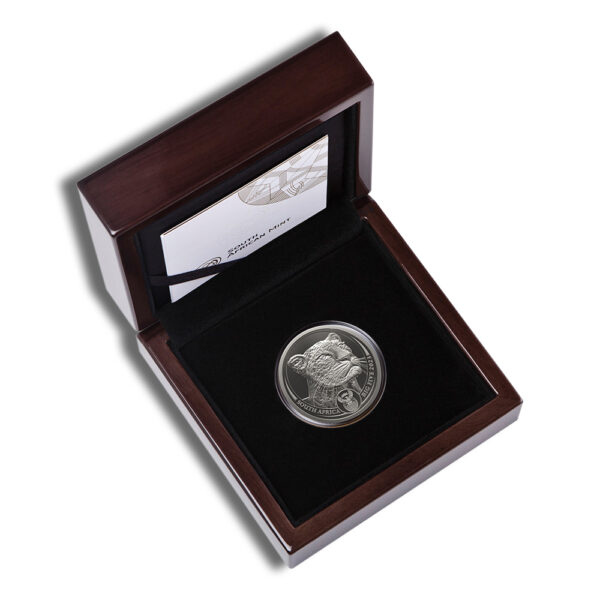 2023 1 oz Platinum South African Big 5 Leopard Coin - Proof - Image 3
