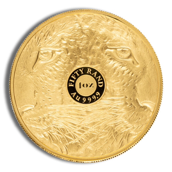 2023 1 oz Gold South African Big 5 Leopard Coin - Proof - Image 2