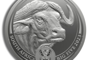 2023 1 oz Silver South African Big 5 Buffalo Coin - Series II