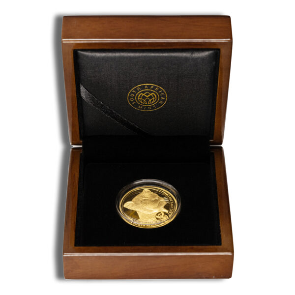 2023 1 oz Gold South African Big 5 Leopard Coin - Proof - Image 3