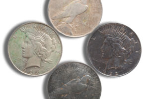 Peace Silver Dollar - Cull