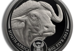 2023 1 oz Platinum South African Big 5 Buffalo Coin - Proof