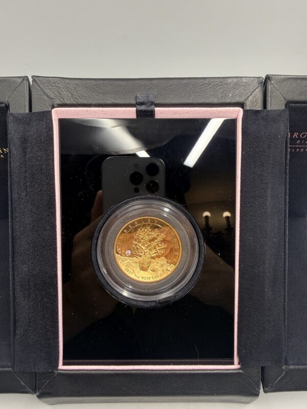 2021 Kimberley Sunset 5oz Rose Gold Proof High Relief Pink Diamond Coin - Image 7