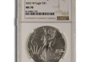 2022-W Burnished Silver Eagle NGC MS70